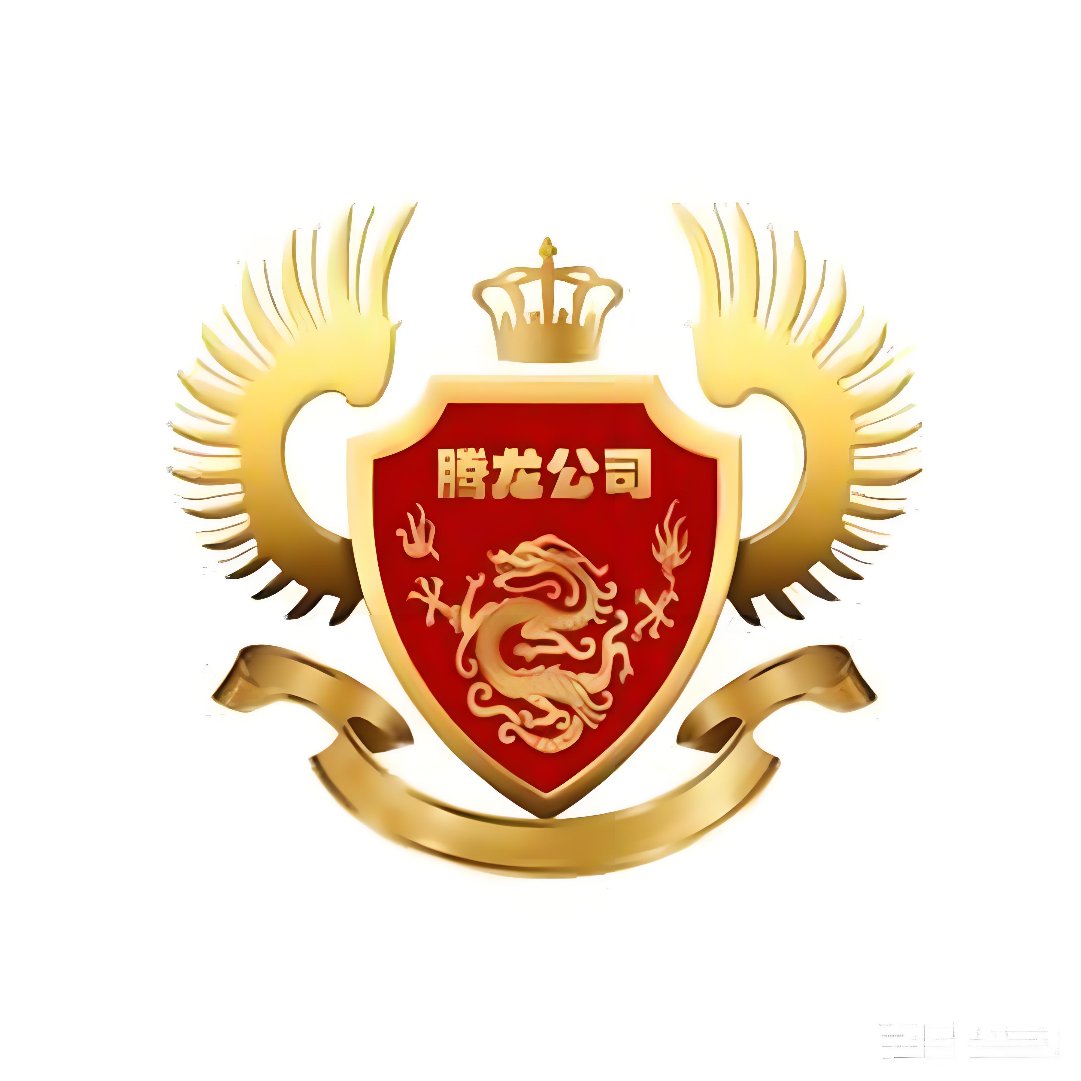 腾龙金融Logo